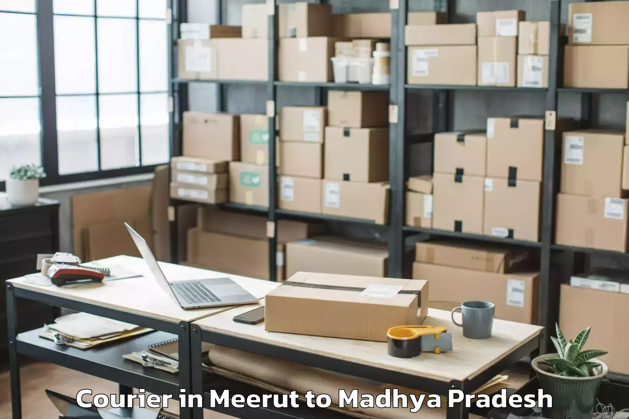 Trusted Meerut to Tarana Courier